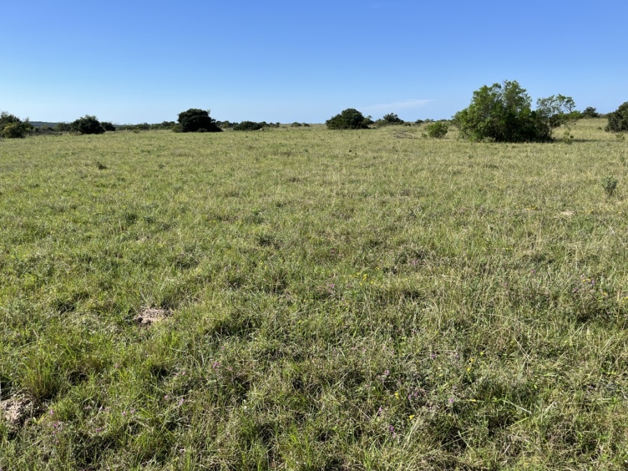 Commercial Property for Sale in Bathurst Rural Eastern Cape